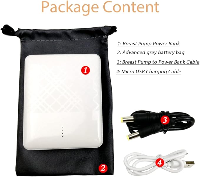 12v Portable Breast Pump Battery and Charger for S1 S2 Medela Pump-in-Style and Lactina Hygeia EnJoye (Easy for Outdoor and Travelling)