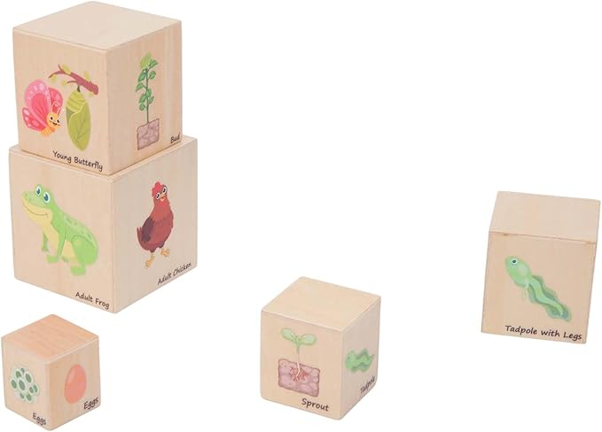 Wooden Life Cycle Nesting Blocks, Sorting & Stacking Montessori Toys for Kids, Preschool Educational Learning Cube Boxes for Toddlers 3+, Science Toy Set for Baby Boys & Girls (5 Pcs)