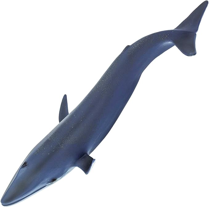 Safari Ltd. Blue Whale Figurine - Detailed 11" Plastic Model Figure - Fun Educational Play Toy for Boys, Girls & Kids Ages 3+