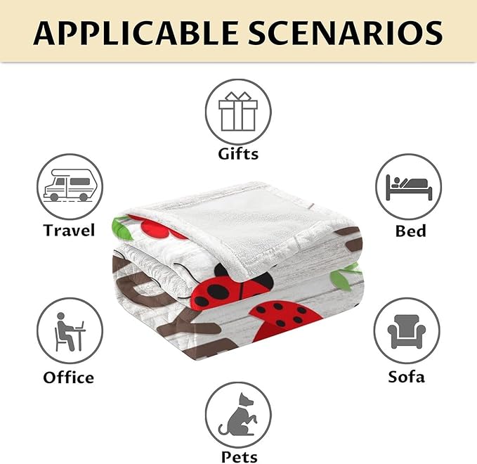 Ladybug Gifts for Kids - 30 x 40 Inches Cute Lady Bug Blanket for Girls - Grey Plush Warm Decor for Crib, Lap