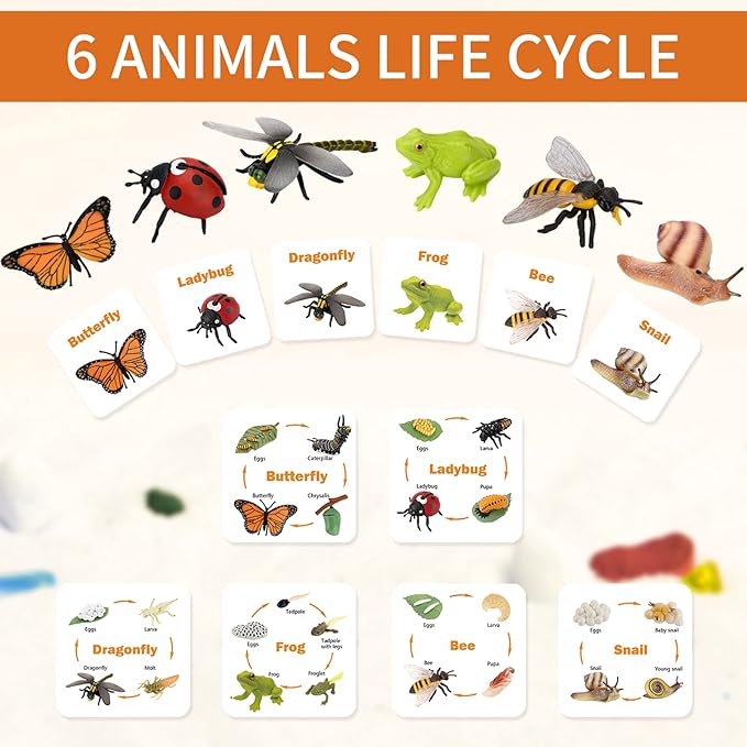 Montessori Animal Life Cycle Figurines, Plastic Miniature Educational Toys, 6 Count, Ages 3+