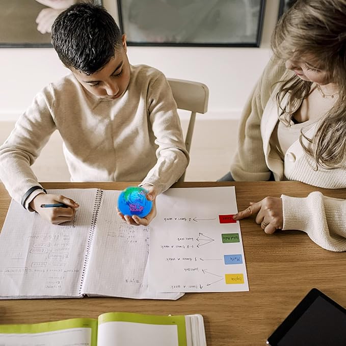 24 PCS Globe Squeeze Balls,2.5 Inch Foam Squeeze Balls for Kids,School,Classroom,Party Favors