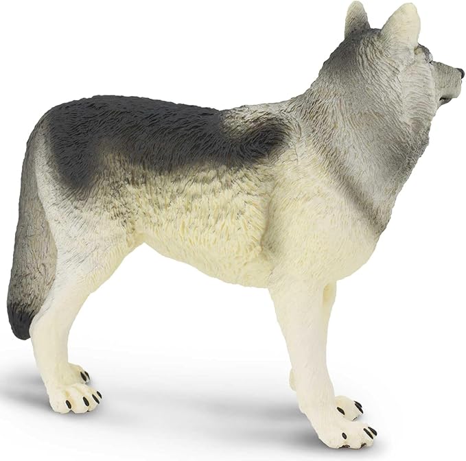 Safari Ltd. Gray Wolf Toy Figurine - Detailed 4.8" Plastic Model Figure - Fun Educational Play Toy for Boys, Girls & Kids Ages 3+