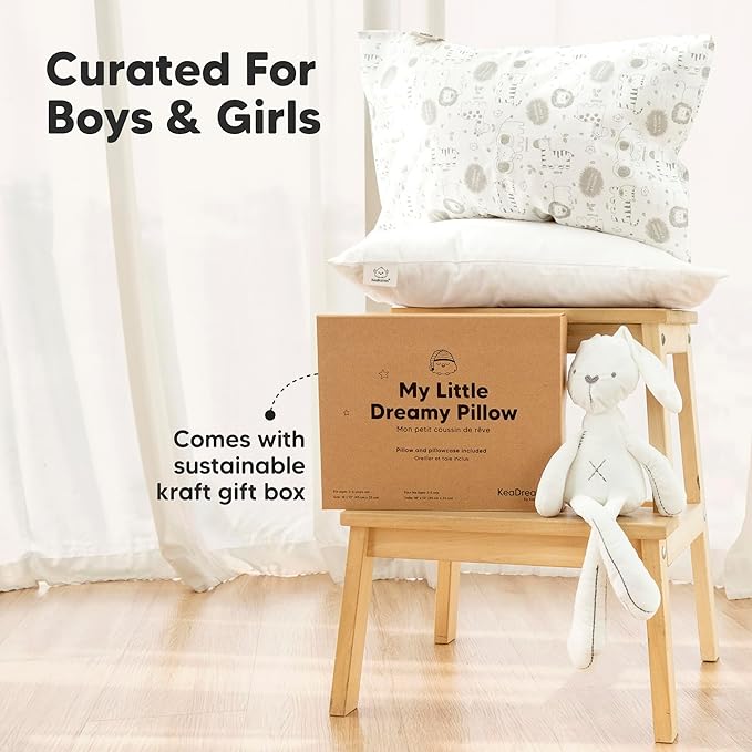 Toddler Pillow with Pillowcase - 13x18 My Little Dreamy Kids Travel Bed Pillows for Sleeping, Organic Cotton Small Pillowcase, Soft & Breathable, Machine Washable, Toddlers 2-5 Years Old (Escapade)