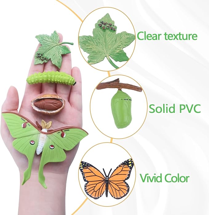 SIENON 8Pcs Butterfly and Actias Ningpoana Life Cycle Figures, Plastic Caterpillar to Monarch Butterfly Growth Toy Insect Playset for Kids Birthday Party Gift Biology Teaching Tools School Project