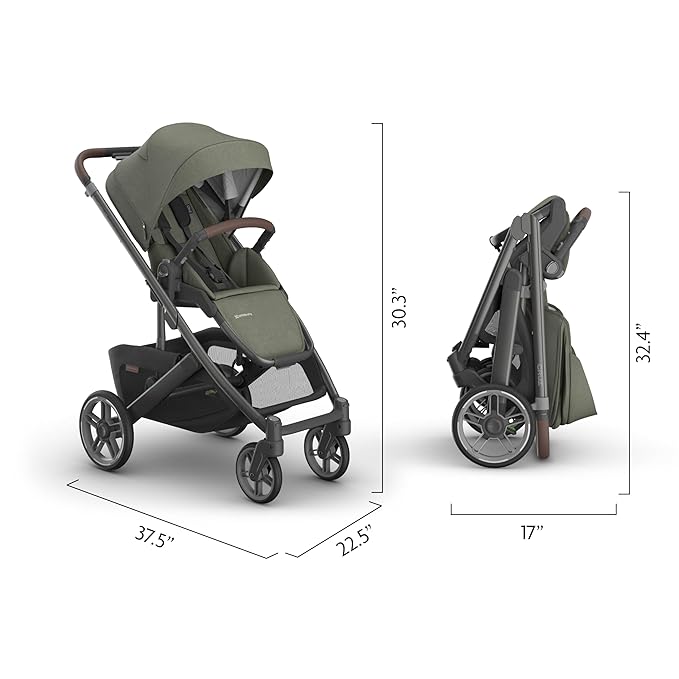 UPPAbaby Cruz V3 Stroller - from Birth + Car Seat Compatible - Full-Size, Reversible Seat - Infant Insert, Bug and Rain Shields Included - Evelyn (Meadow Green/Graphite Frame/Chestnut Leather)