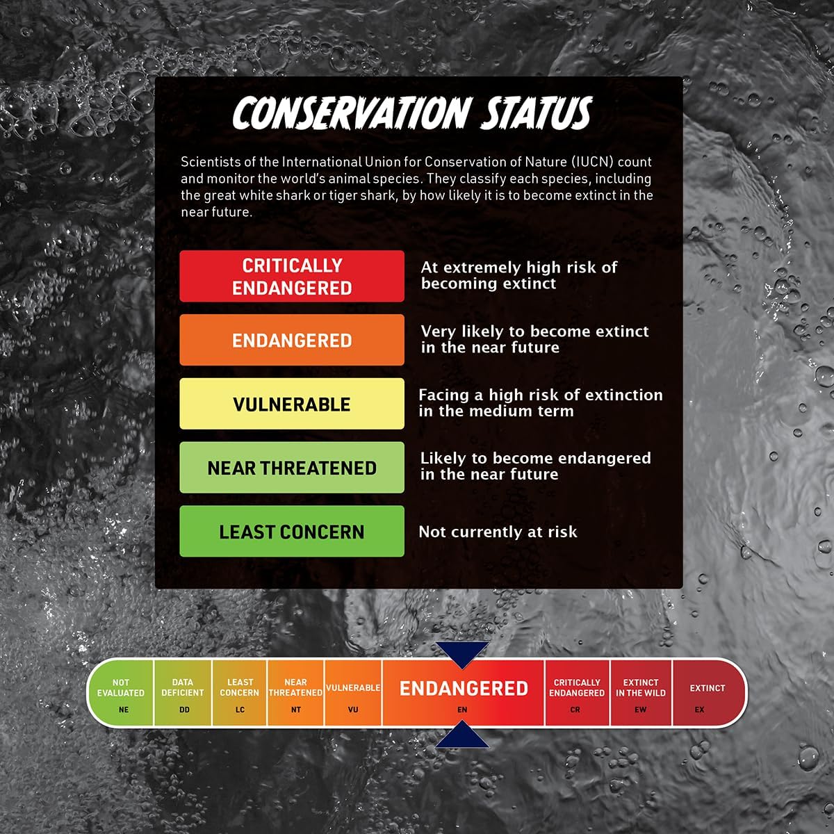 STEAM Shark Lab VR - Illustrated Interactive VR Book and STEAM Learning Activity Set - for Ages 8 and Up
