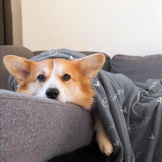 Ship from USA -Personalized Baby Blankets with Name,Customized Name Blankets for Kids,Super Soft Plush Fleece,Custom Baby Blanket for Boys,Girl,Personalized Gifts for Newborn