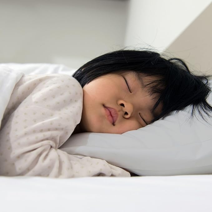 Little Sleepy Head Toddler Pillow with Pillowcase 13x18 - Kids Pillow for Sleeping - Better Neck Support Ergonomic Pillow and Toddler Pillowcase - Best Pillows for Kids (Gray)