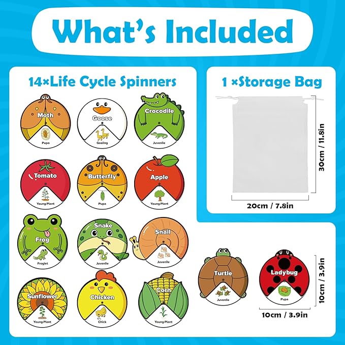 Life Cycle Toys for Kids,Animal Plant Insect Bug Ladybug Butterfly Tadpole to Frog Kit,Montessori Learning & Education Toys,Preschool Science Learning Activities for Toddlers,Board Card Games