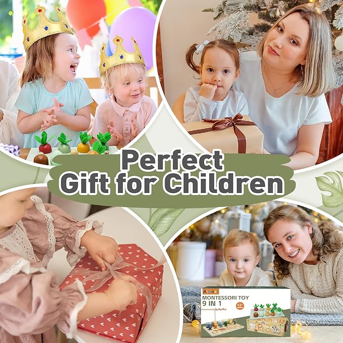 Montessori Wooden Toys for 1+ Year Old, 9 in 1 Montessori Toddler Toy with Preschool Educational Toys for 2+ Year Old, Birthday for Boys Girls Aged 1 2 3 4 Years