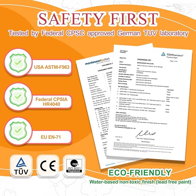 MONTESSORI OUTLET Nature Materials Root Puzzle Early Preschool Learning Toys for 3-12 Year Old Kids and Toddler