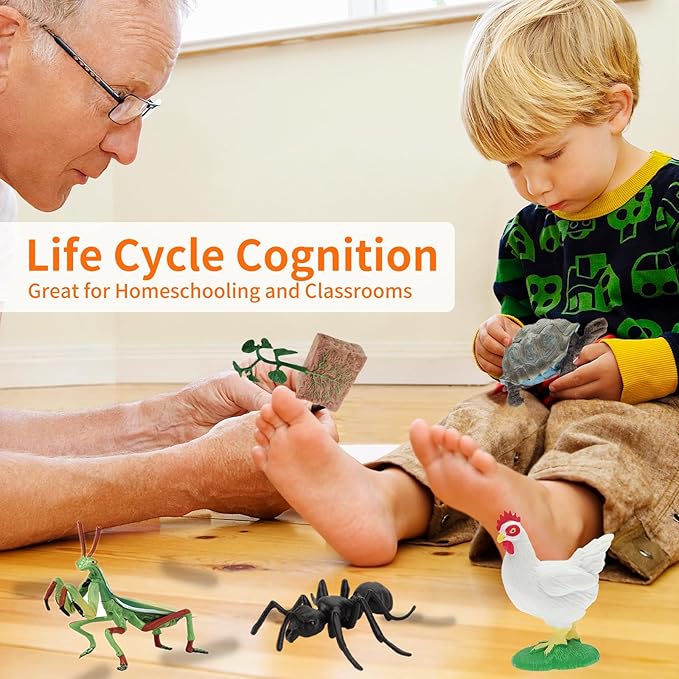 Montessori Life Cycle Animal Figurines Learning & Education Toys, Plastic Turtle Chicken Ant Plant Mantis Salmon Toys for Kids, Preschool Learning Activities for Toddlers