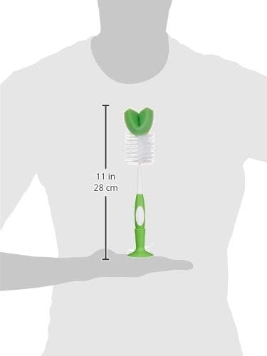 Amazon Brand - Mama Bear Bottle Brush 3 Count, White (Pack of 12)