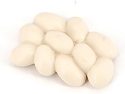 Ant Growth Cycle, Animal Growth Cycle Biological Model Toy Growth Stage Lifelike Ant Life Cycle Model Toy Set for Kids Education Insect Themed Party Favors