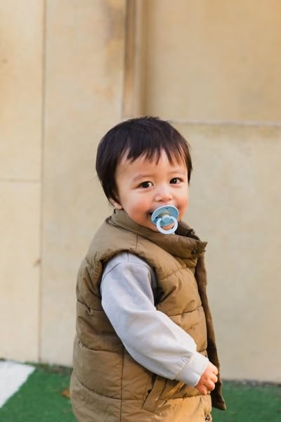 BIBS Colour Pacifier 2-Pack, BPA Free Dummy Binky, Round Nipple. Natural Rubber Latex, Made in Denmark, Size 1 (0-6 Months), Mushroom/Breeze