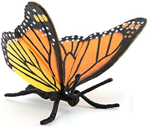 Butterfly Growth Cycle, Animal Growth Cycle Biological Model, Growth Stage Lifelike Butterfly Life Cycle Model Set for Kids Education Insect Themed Party Favors