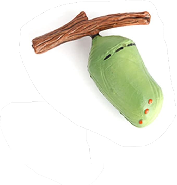 Butterfly Growth Cycle, Animal Growth Cycle Biological Model, Growth Stage Lifelike Butterfly Life Cycle Model Set for Kids Education Insect Themed Party Favors