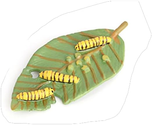 Butterfly Growth Cycle, Animal Growth Cycle Biological Model, Growth Stage Lifelike Butterfly Life Cycle Model Set for Kids Education Insect Themed Party Favors