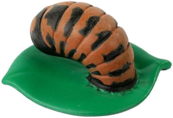 Insect Lore Live Baby Ladybug Larvae - Ladybug Growing Kit REFILL with Ladybug Life Cycle Toy Figurines - SHIP NOW