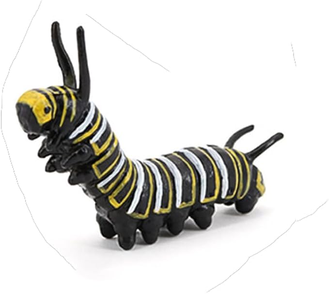 Butterfly Growth Cycle, Animal Growth Cycle Biological Model, Growth Stage Lifelike Butterfly Life Cycle Model Set for Kids Education Insect Themed Party Favors