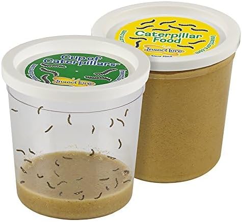 Insect Lore Butterfly Garden - Pavilion School Kit with 33 Live Caterpillars - 2ft Tall Habitat, STEM Activity Journal, Cups & Tools Included - Immersive Classroom Life Cycle Learning