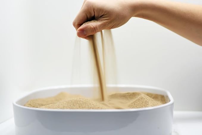 Sandtastik Therapy Play Sand- Beach, 25 lb (11.3 kg) Box - Fill Sensory Tables, Sand Trays & Water Tables! Formulated for Therapy Professionals & Teachers