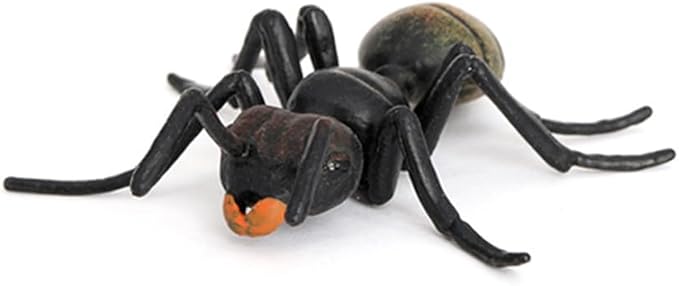 Ant Growth Cycle, Animal Growth Cycle Biological Model Toy Growth Stage Lifelike Ant Life Cycle Model Toy Set for Kids Education Insect Themed Party Favors