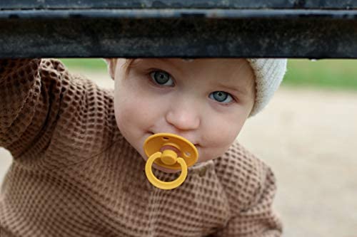 BIBS Pacifiers Colour Collection | Natural Rubber Baby Pacifier | Set of 2 BPA-Free Soothers | Made in Denmark | 18+ Months (Pack of 2) | Blush Night