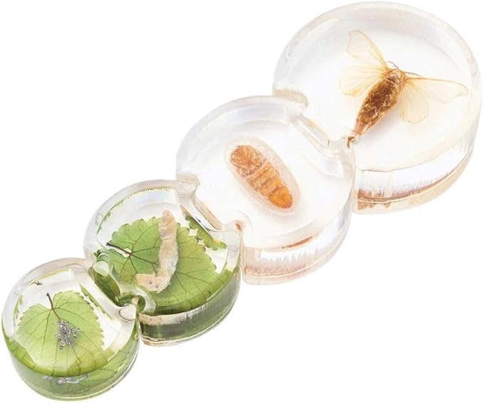 Kaplan Early Learning Specimen Life Cycle Puzzles - Moth