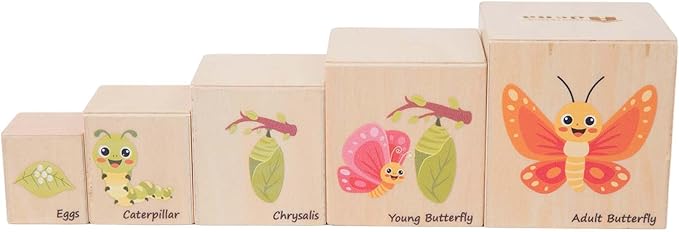 Wooden Life Cycle Nesting Blocks, Sorting & Stacking Montessori Toys for Kids, Preschool Educational Learning Cube Boxes for Toddlers 3+, Science Toy Set for Baby Boys & Girls (5 Pcs)