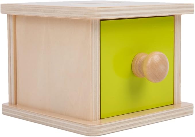 Adena Montessori Coin Box,Object Permanence Box Toys for 1 Year Old Baby Coins,Wooden Montessori Ball Drop Toys Developmental Toys for 6-12 Month Infant Toys,Learning Kids Gifts(Yellow-Green Door)