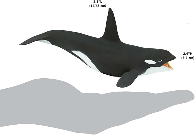 Safari Ltd. Killer Whale (Orca) Figurine - Detailed 7" Plastic Model Figure - Fun Educational Play Toy for Boys, Girls & Kids Ages 3+