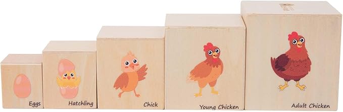 Wooden Life Cycle Nesting Blocks, Sorting & Stacking Montessori Toys for Kids, Preschool Educational Learning Cube Boxes for Toddlers 3+, Science Toy Set for Baby Boys & Girls (5 Pcs)