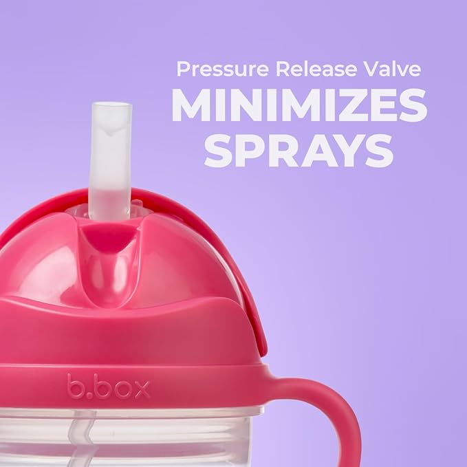 b.box + Lansinoh Weighted Straw Sippy Cup for Babies 6 Months+ (2 Pack)| Leak‑Proof, BPA‑Free, 8 oz Toddler Cup | Drink From Any Angle | Easy Grip, Dishwasher Safe | Tutti Frutti + Raspberry