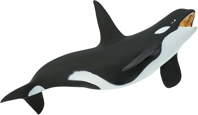 Safari Ltd. Killer Whale (Orca) Figurine - Detailed 7" Plastic Model Figure - Fun Educational Play Toy for Boys, Girls & Kids Ages 3+