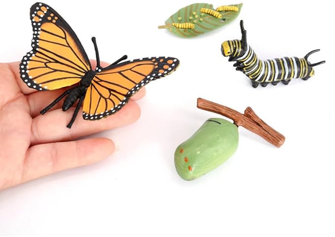 Butterfly Growth Cycle, Animal Growth Cycle Biological Model, Growth Stage Lifelike Butterfly Life Cycle Model Set for Kids Education Insect Themed Party Favors