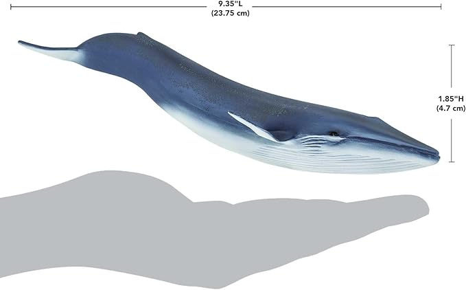 Safari Ltd. Blue Whale Figurine - Detailed 11" Plastic Model Figure - Fun Educational Play Toy for Boys, Girls & Kids Ages 3+