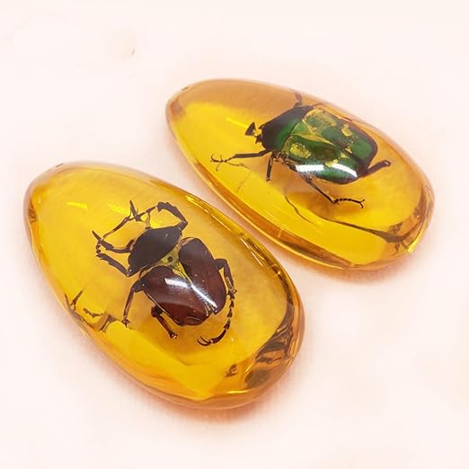 18 pcs Insect Amber Fossils, BOSOIRSOU Fossil Pendants, Different Insect Specimen, Bug Preserved in Resin, Educational and Scientific Amber Collections - Random Patterns