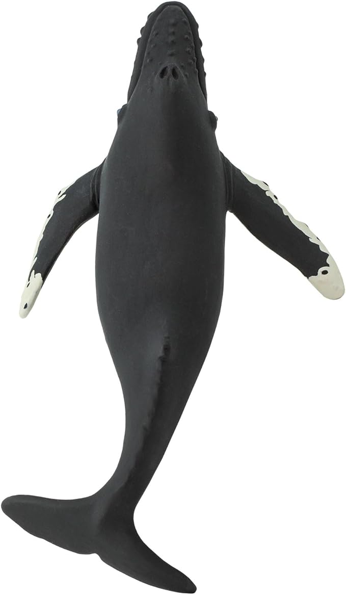 Safari Ltd. Humpback Whale Figurine - Detailed 7" Plastic Model Figure - Fun Educational Play Toy for Boys, Girls & Kids Ages 1+