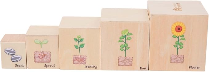 Wooden Life Cycle Nesting Blocks, Sorting & Stacking Montessori Toys for Kids, Preschool Educational Learning Cube Boxes for Toddlers 3+, Science Toy Set for Baby Boys & Girls (5 Pcs)