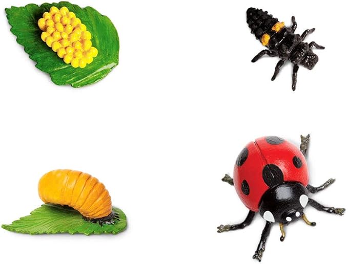 Safari Ltd. Life Cycle of a Ladybug - Educational Toy Figurines - Miniature Beetle Lifecycle Collection for Boys, Girls & Kids Age 4+