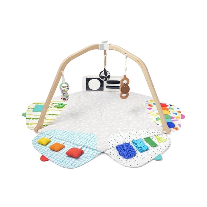 LOVEVERY | The Play Gym | Award Winning For Baby , Stage-Based Developmental Activity Gym & Play Mat for Baby to Toddler