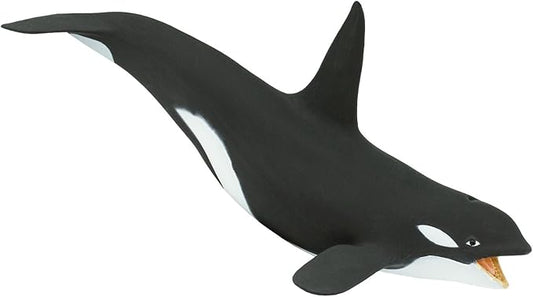 Safari Ltd. Killer Whale (Orca) Figurine - Detailed 7" Plastic Model Figure - Fun Educational Play Toy for Boys, Girls & Kids Ages 3+