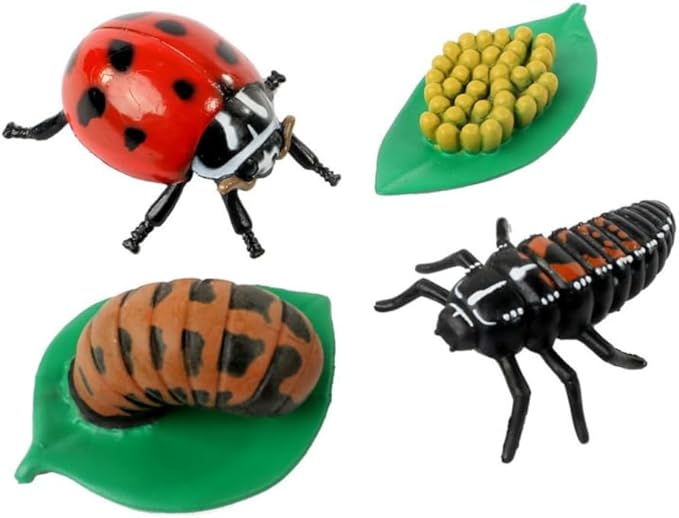 Insect Lore Live Baby Ladybug Larvae - Ladybug Growing Kit REFILL with Ladybug Life Cycle Toy Figurines - SHIP NOW