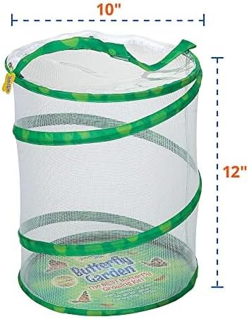 Insect Lore Butterfly Garden with Two Cups of Live Caterpillars, Life Cycle Figurines, English and Spanish Butterfly STEM Activity Journals | 10 Painted Lady Butterfly Baby Caterpillars