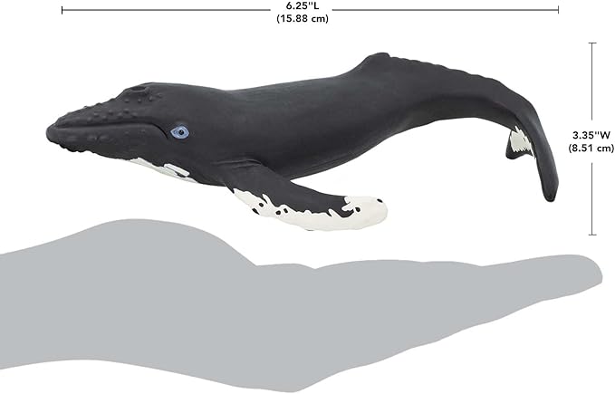 Safari Ltd. Humpback Whale Figurine - Detailed 7" Plastic Model Figure - Fun Educational Play Toy for Boys, Girls & Kids Ages 1+