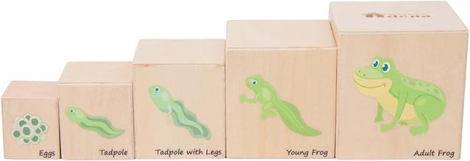Wooden Life Cycle Nesting Blocks, Sorting & Stacking Montessori Toys for Kids, Preschool Educational Learning Cube Boxes for Toddlers 3+, Science Toy Set for Baby Boys & Girls (5 Pcs)