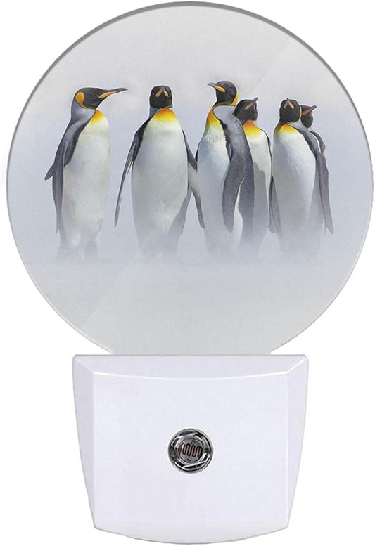 EKOBLA Cute Penguin Night Lights Plug into Wall South Pole Animal Ice Plug-in Nightlights Home Auto Sensor LED Dusk to Dawn Light for Bedroom Bathroom Kitchen Corridor