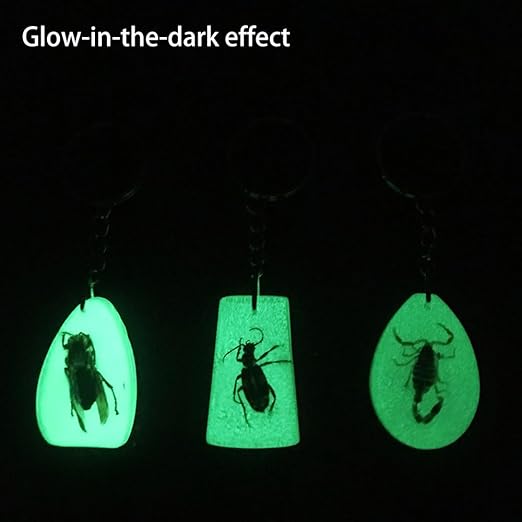 18 pcs Insect Amber Fossils, BOSOIRSOU Fossil Pendants, Different Insect Specimen, Bug Preserved in Resin, Educational and Scientific Amber Collections - Random Patterns